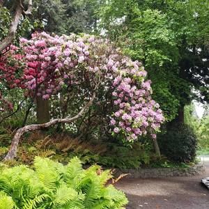 Meet your Posher, Joan